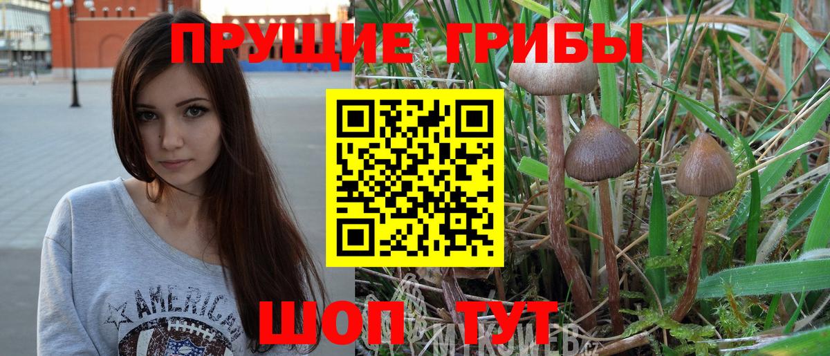 Псилоцибиновые грибы прущие грибы  Псилоцибиновые грибы MAGIC MUSHROOMS  Барабинск  Вход с VPN 